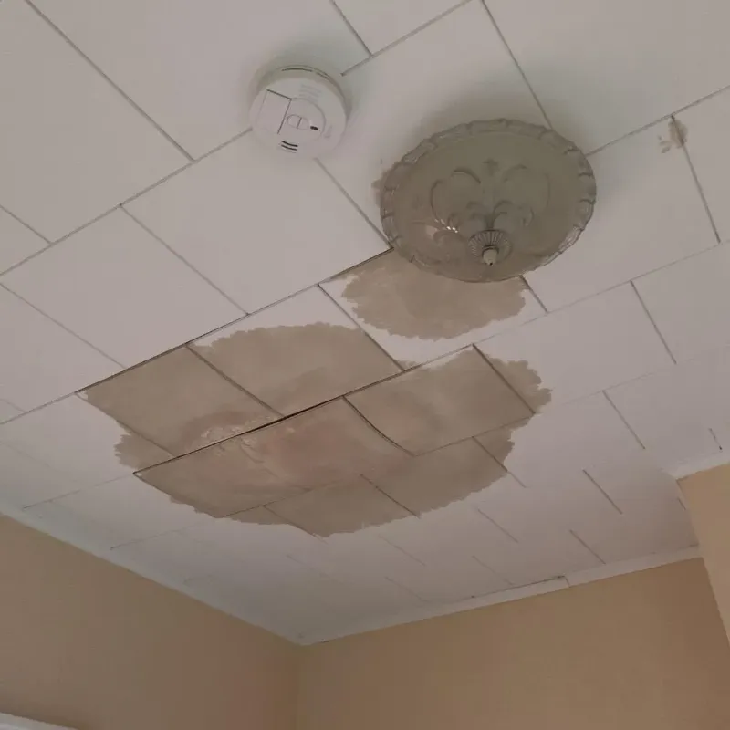 Ceiling Water Damage Repair in Atoka, OK